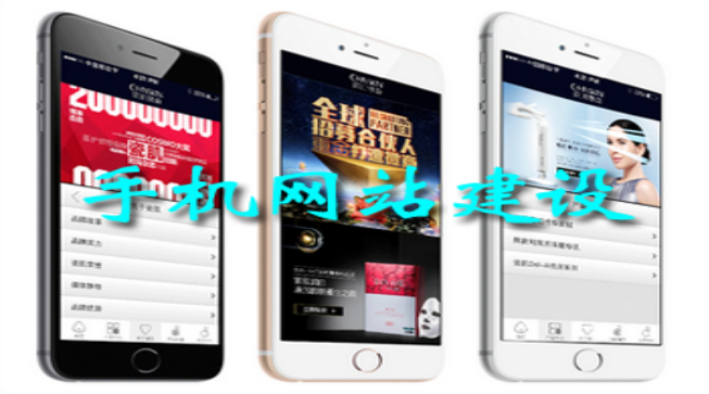企業(yè)手機網(wǎng)站建設(shè)方案