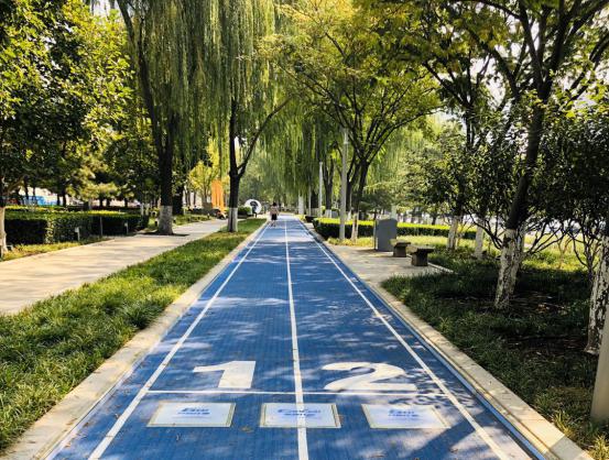 家門口的智能步道——南京花神湖智能體育公園正式開園啦! 家門口的智能步道——南京花神湖智能體育公園正式開園啦!