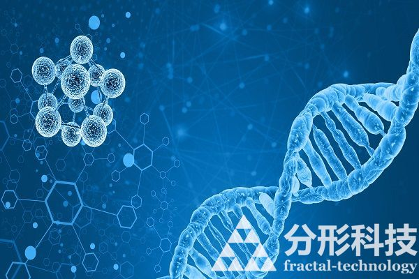 醫(yī)院網(wǎng)站建設(shè)：打造“便捷就醫(yī)的門戶網(wǎng)站